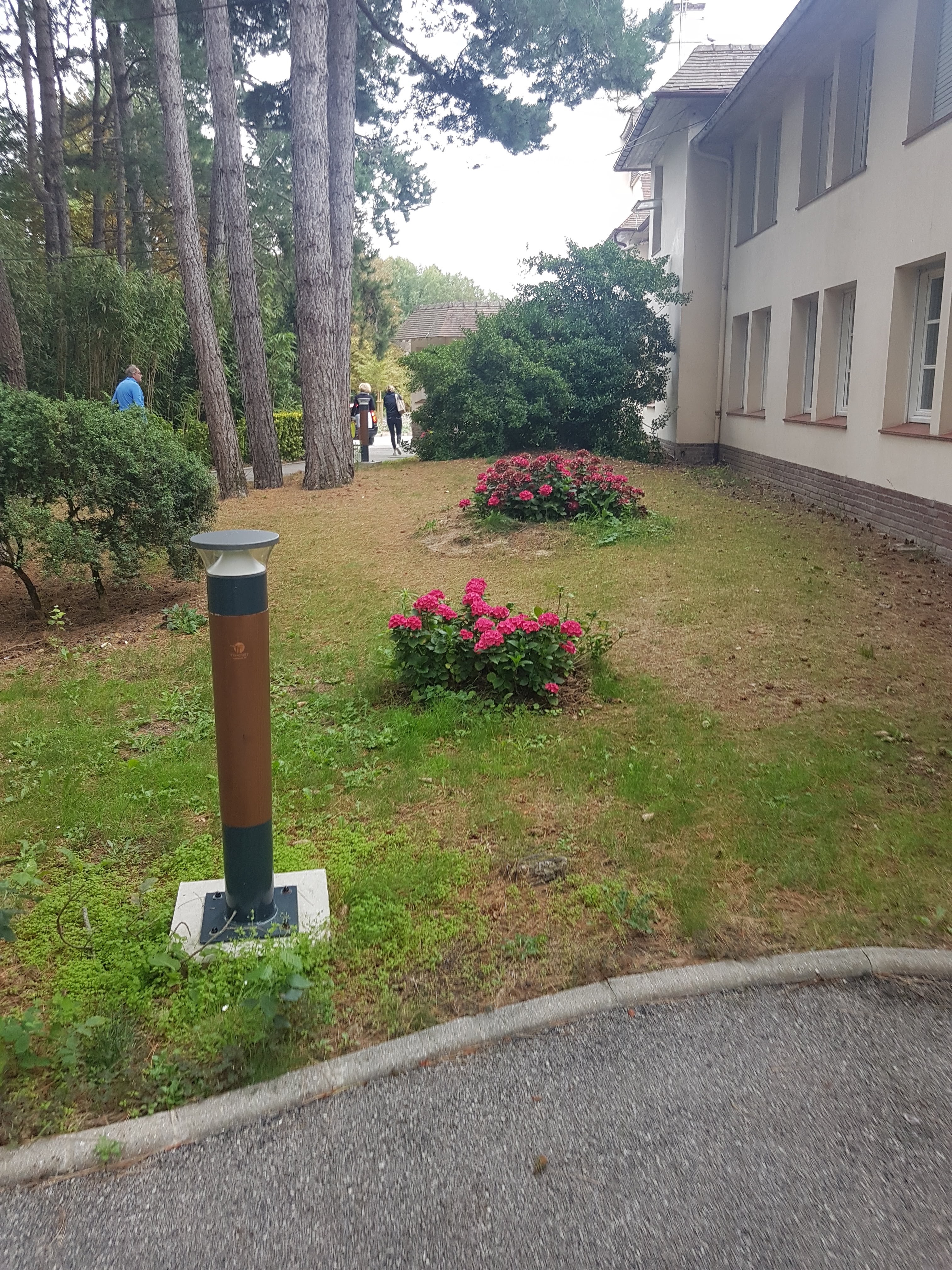 Photo n° 8 de l'avis de Elizabeth.i fait le 13/08/2019 à 12:09