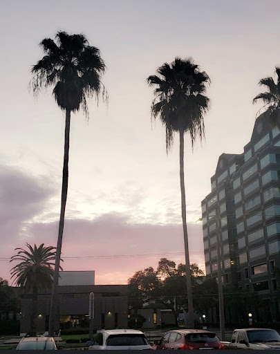 Coffee Shop «Starbucks», reviews and photos, 1508 N Westshore Blvd, Tampa, FL 33607, USA