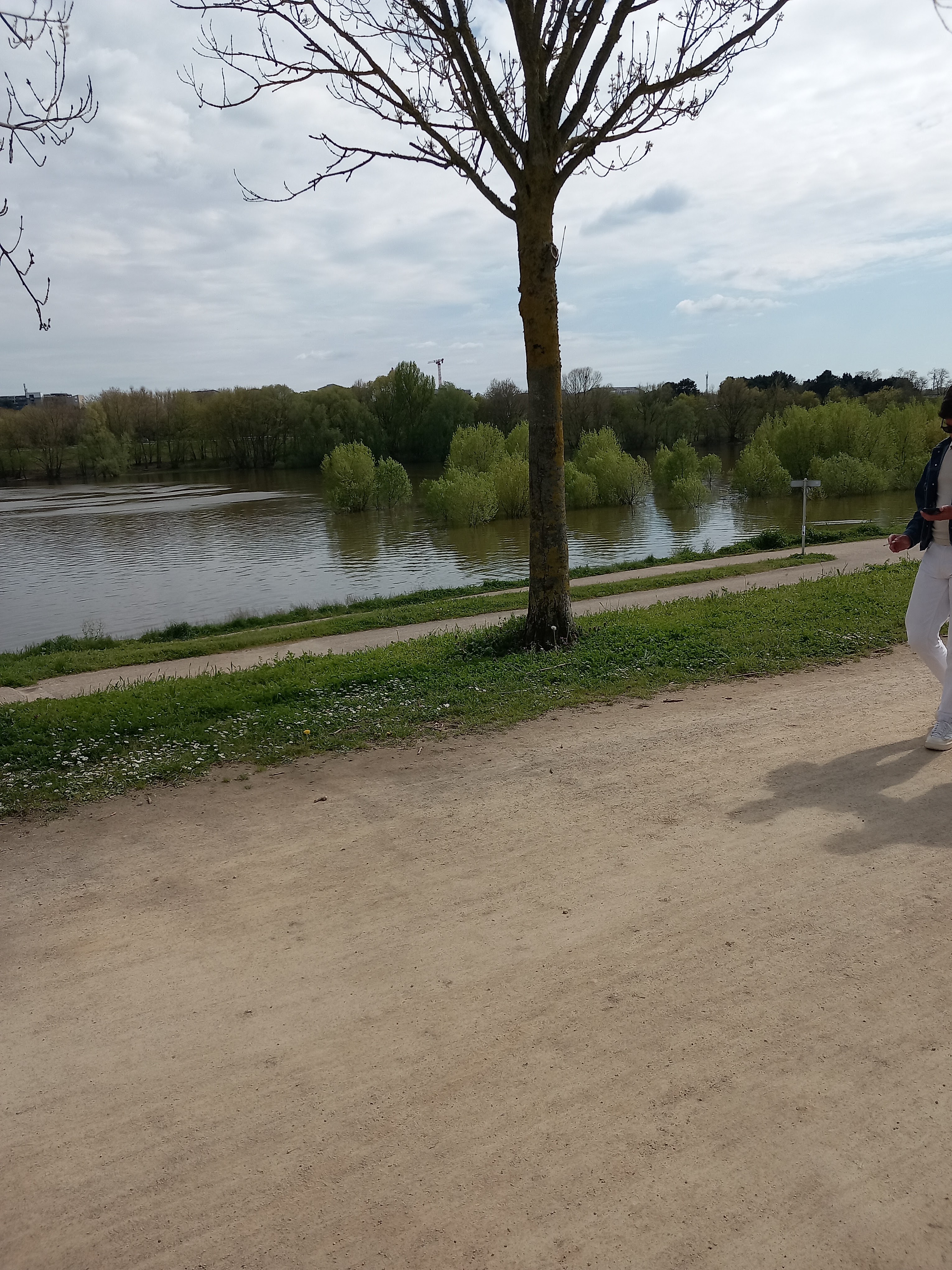 Photo n° 2 de l'avis de Daniel.o fait le 16/04/2023 à 19:26
