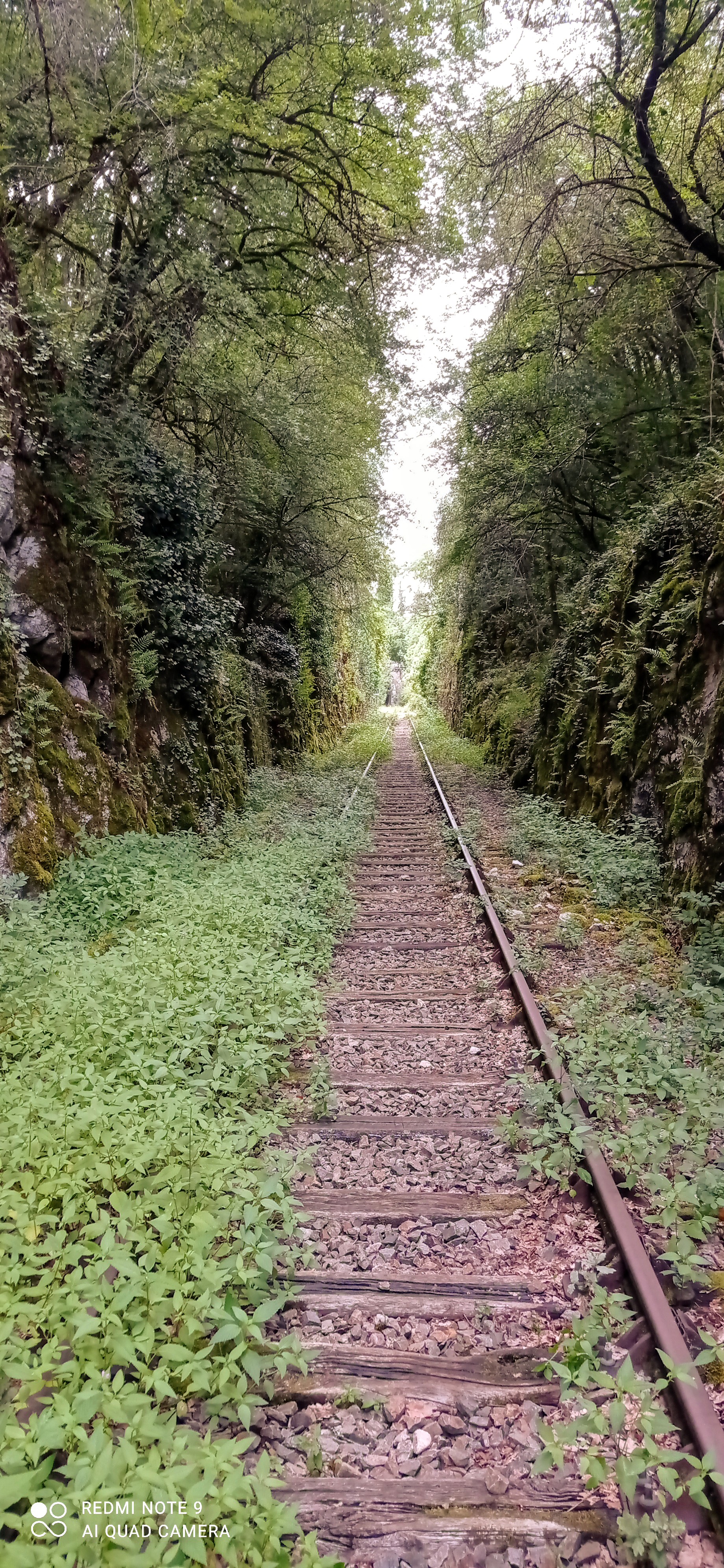 Photo n° 6 de l'avis de hans.o fait le 03/08/2021 à 17:11