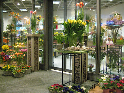 Atelier Leutwyler / Decoshop u. Fleurop Partner in Ebikon bei Luzern, Dried Flowers Florist Designer