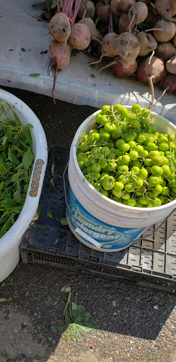 Shopping Mall «Uni-Dale Mall», reviews and photos, 608 University Ave W, St Paul, MN 55103, USA