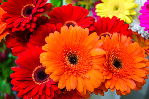 Florist «Floral Boutique», reviews and photos, 13 N 5th St, Stroudsburg, PA 18360, USA