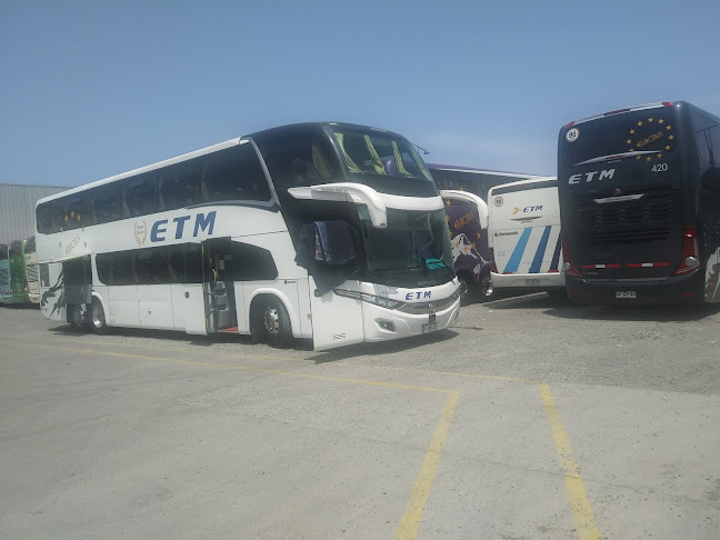 buses ETM