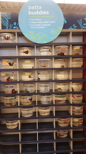 Pet Supply Store «Petco Animal Supplies», reviews and photos, 1301 S California Blvd, Walnut Creek, CA 94596, USA