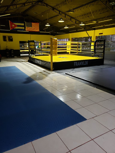 TEAM BARRIO FRANKLIN Gimnasio MMA Santiago Artes Marciales Deporte Contacto