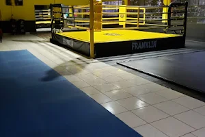 TEAM BARRIO FRANKLIN Gimnasio MMA Santiago Artes Marciales Deporte Contacto image