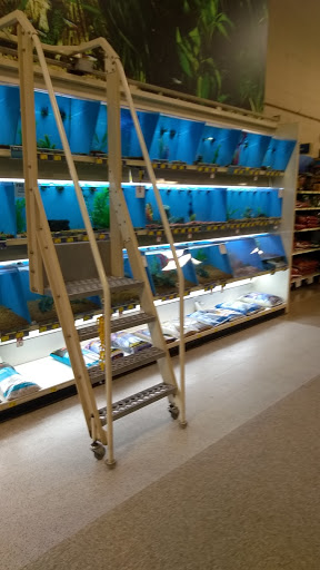 Pet Supply Store «PetSmart», reviews and photos, 12046 Paul Mayer Ave, Bridgeton, MO 63044, USA