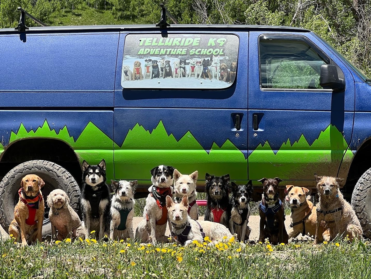 Telluride K9 Adventure School