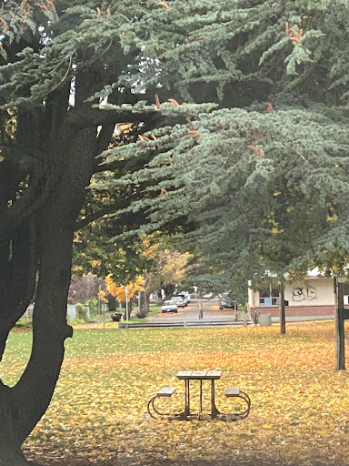 Park «Sewallcrest Park», reviews and photos, SE 31st Ave & Market St, Portland, OR 97214, USA