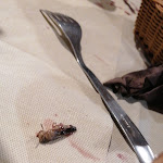 Photo n°1 de l'avis de Gaia.i fait le 19/08/2022 à 13:28 sur le  Locanda Del Curato à Lentiscosa