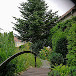 Photo n°4 de l'avis de Barbara.� fait le 18/08/2020 à 20:18 sur le  Zum Märkischen Eck à Trebbin