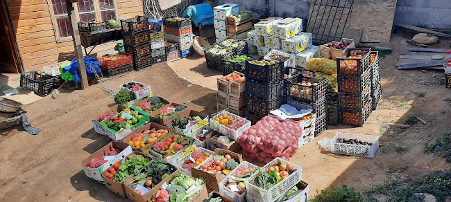 La Marina 1299, Viña del Mar, Valparaíso