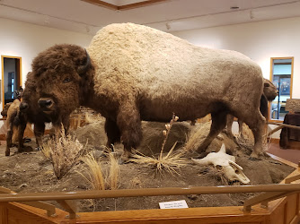 Museum of the Northern Great Plains