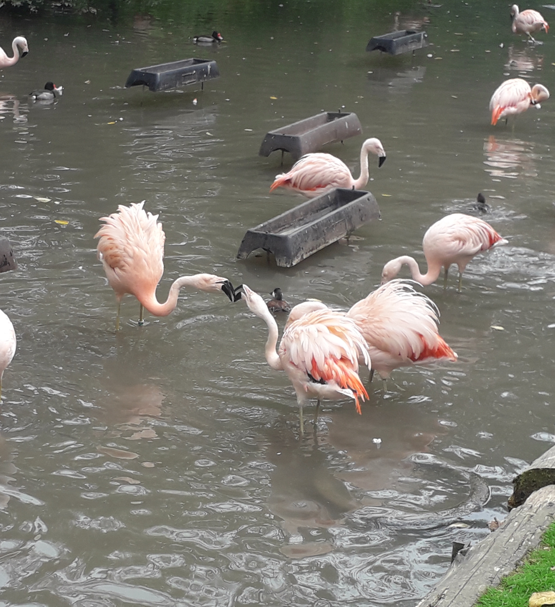 Photo n° 18 de l'avis de lilou.i fait le 19/09/2020 à 16:48