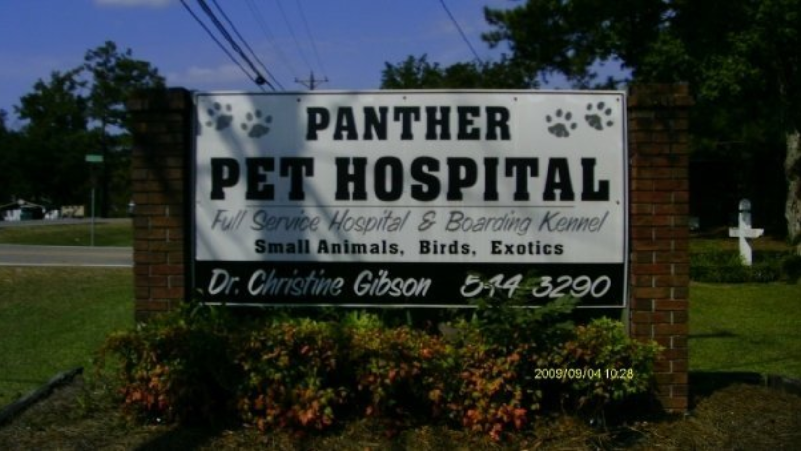 The Pet Hospitals (Panther)