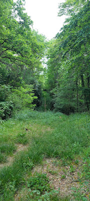 Le Camp de César de Changé à Saint-Piat