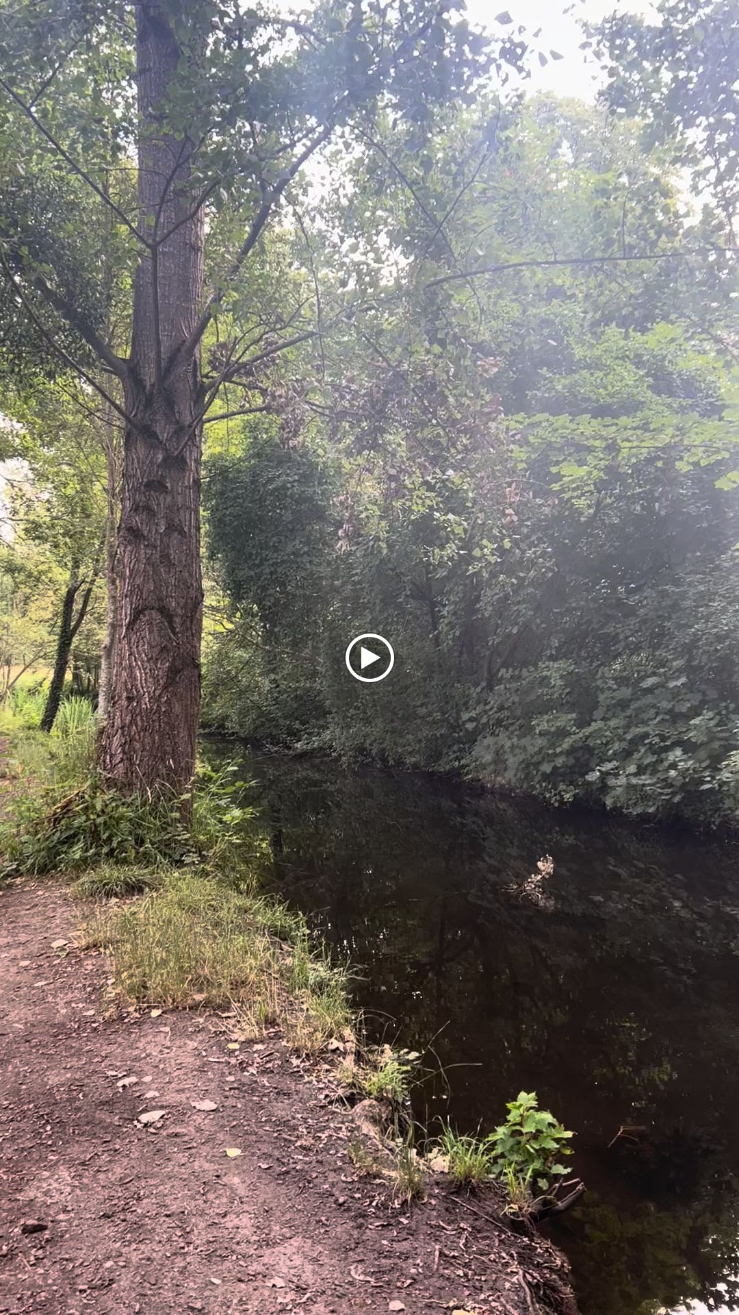 Photo n° 1 de l'avis de Bernice.u fait le 18/07/2023 à 20:37