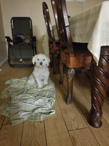 Pet Supply Store «PetSmart», reviews and photos, 10600 Melody Dr, Northglenn, CO 80234, USA