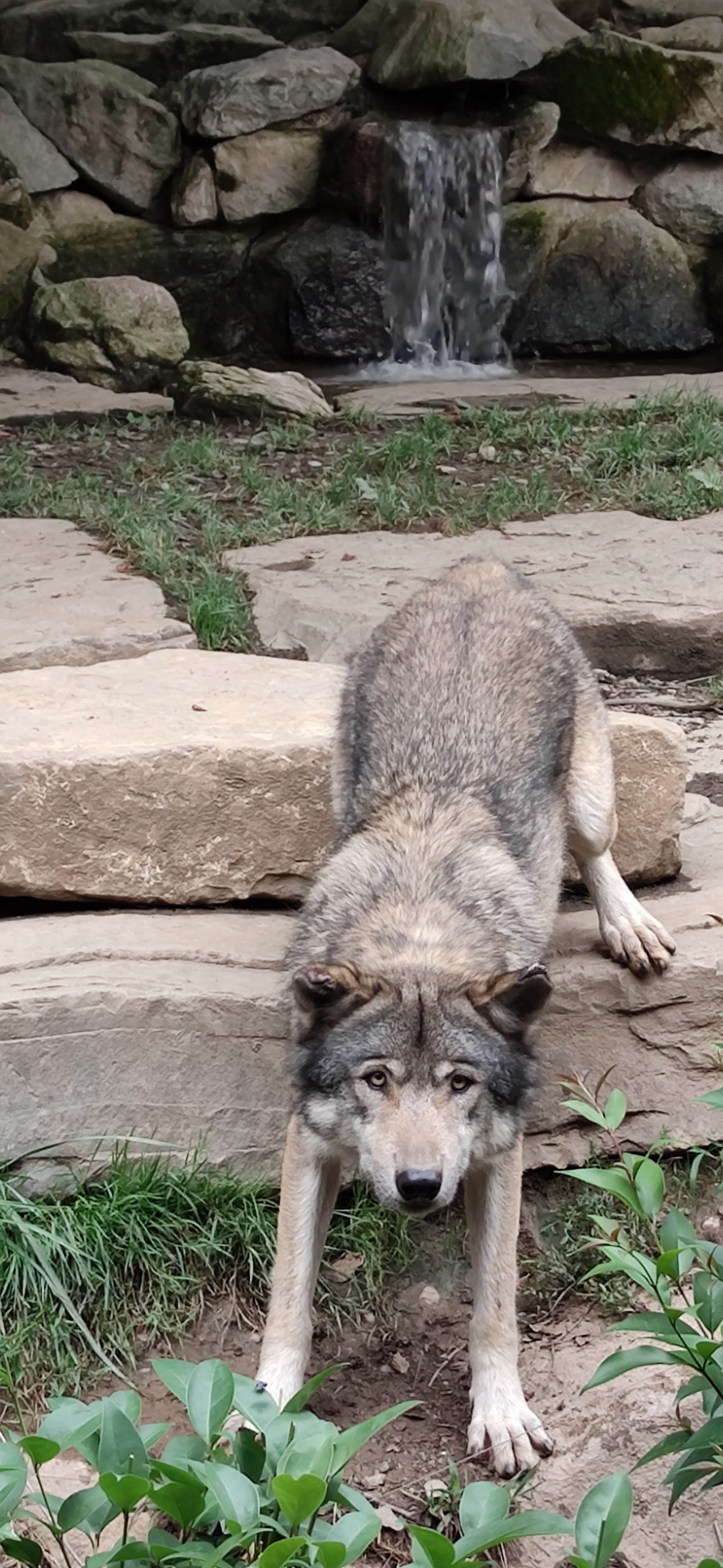 Photo n° 4 de l'avis de Sebastien.A fait le 22/08/2022 à 21:18