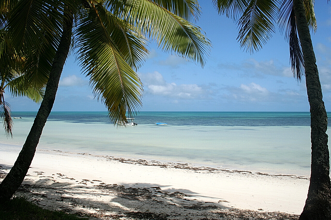 Ouvea Island Beach photo #9