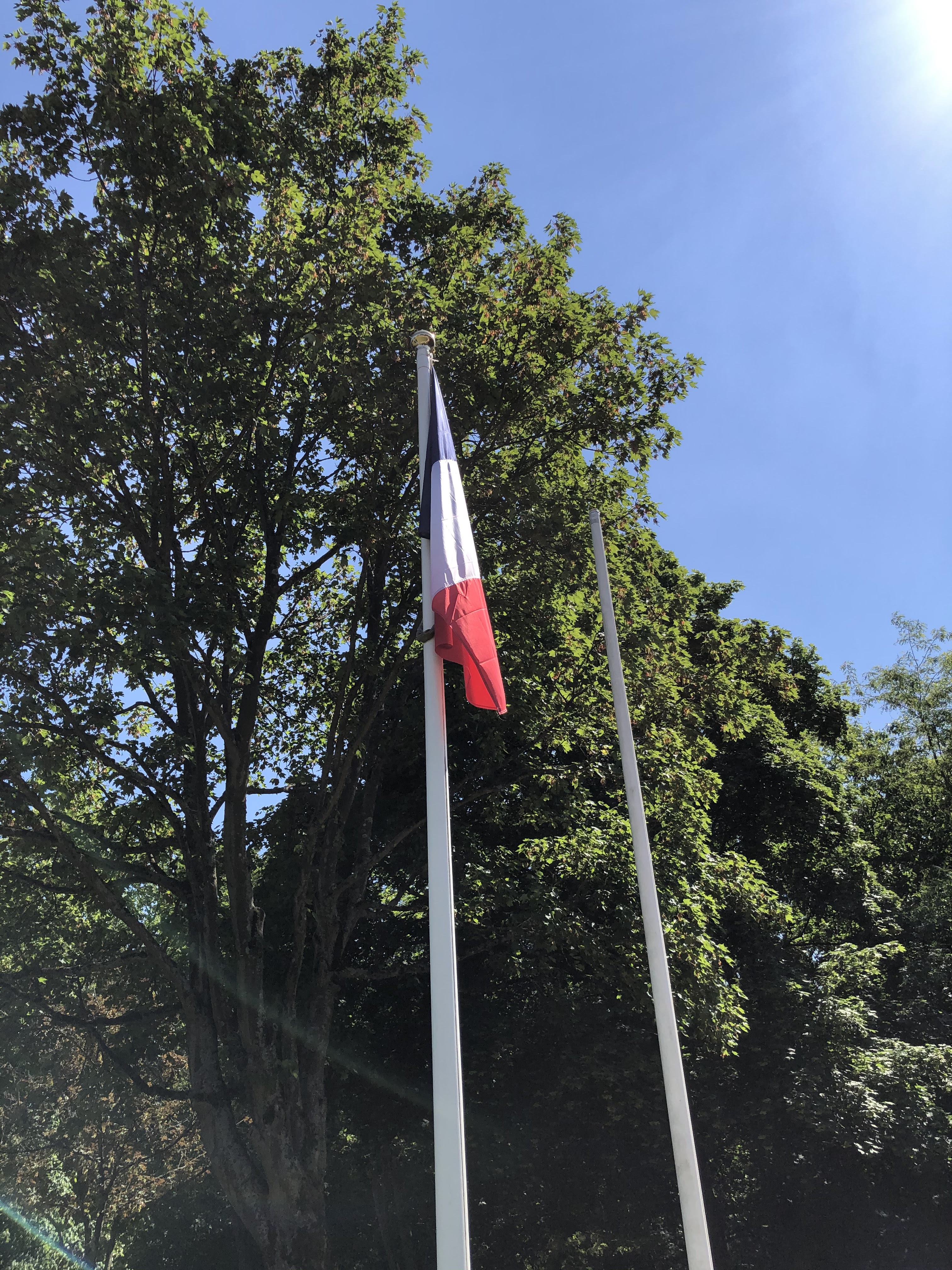 Photo n° 29 de l'avis de Sergiu.u fait le 17/05/2020 à 13:43