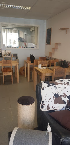 Comentarii opinii despre Chacolathé