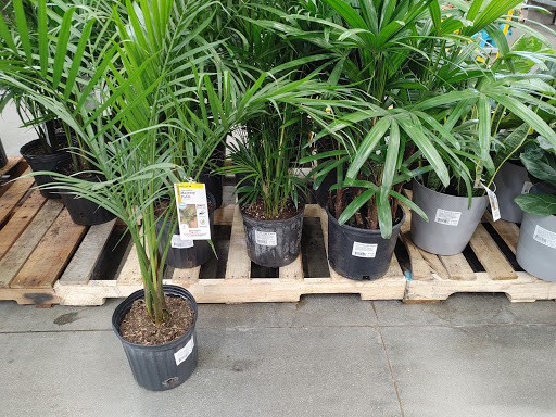 Home Improvement Store «The Home Depot», reviews and photos, 10801 Garden Grove Blvd, Garden Grove, CA 92843, USA