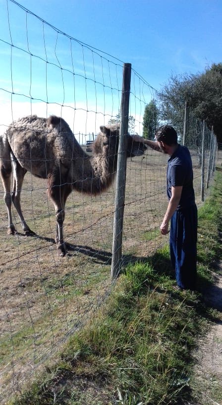 Photo n° 8 de l'avis de lusignan.n fait le 26/10/2018 à 04:59