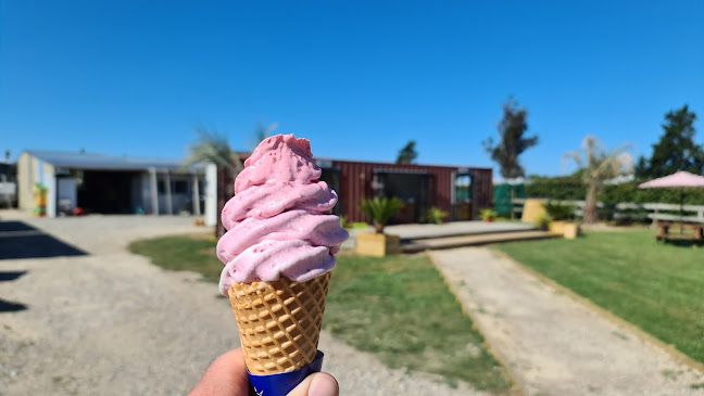 Motueka Berry Farm - Ice cream