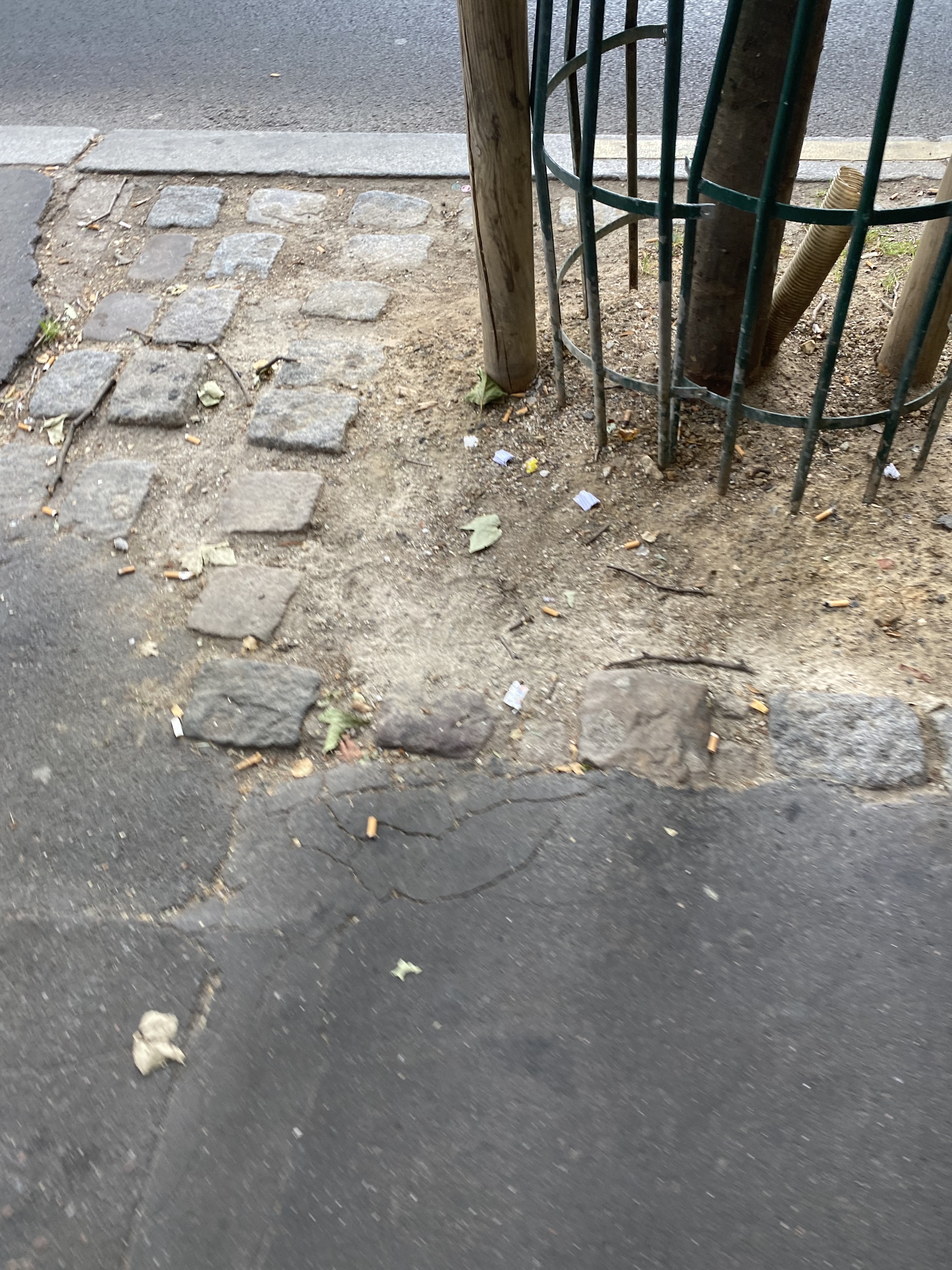 Photo n° 10 de l'avis de lola.a fait le 27/06/2023 à 17:58