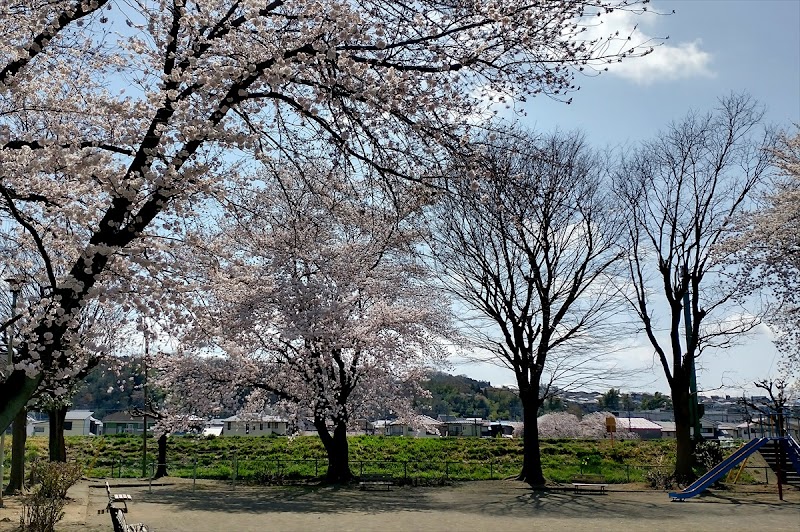 さいかちぜき公園