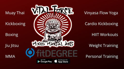 Vital Force Muay Thai & MMA