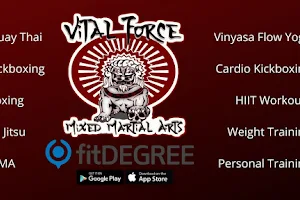 Vital Force Muay Thai & MMA image