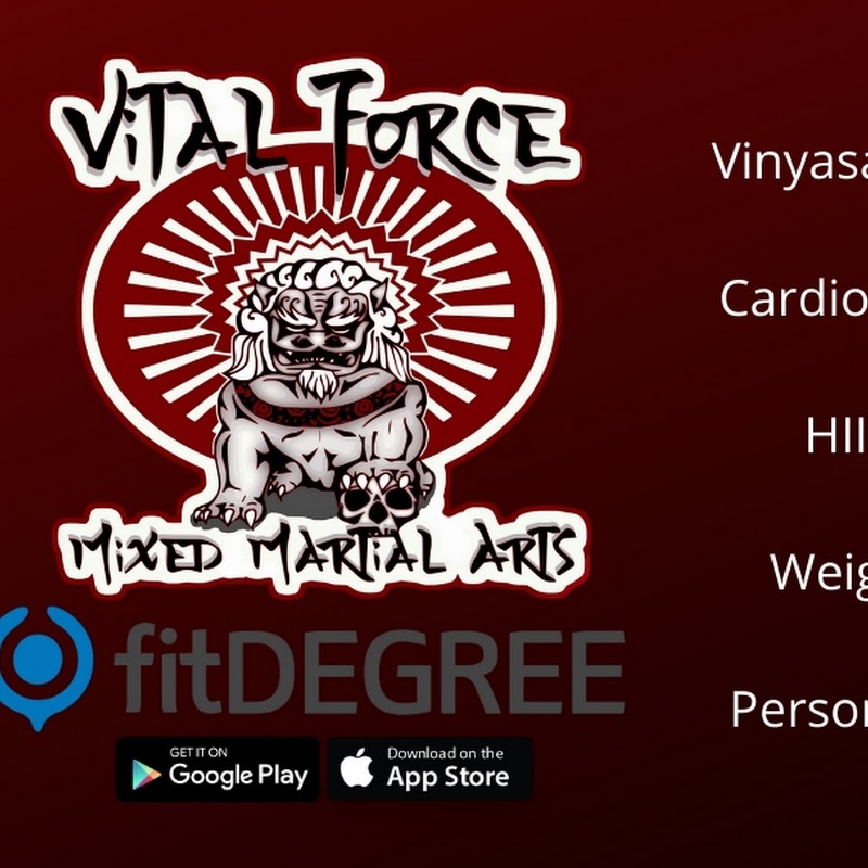 Vital Force Mixed Martial Arts & Fitness