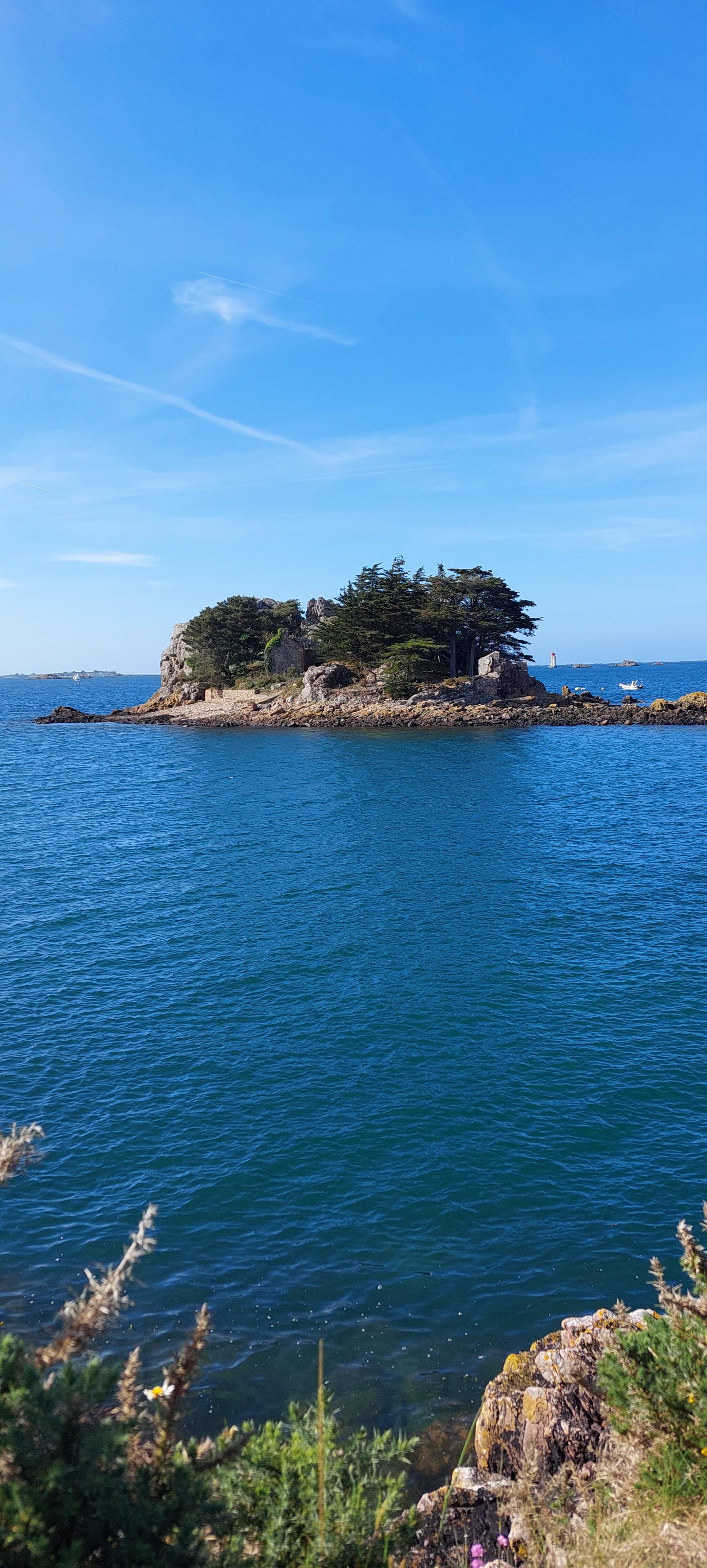 Photo n° 10 de l'avis de Christophe.a fait le 31/05/2022 à 15:04