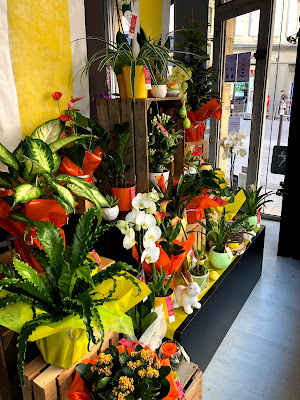 Carole Fleurs à Coutras