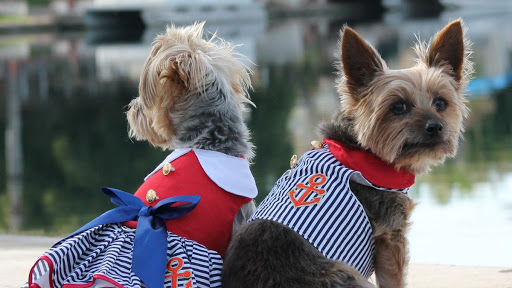 Country Dog Boutique