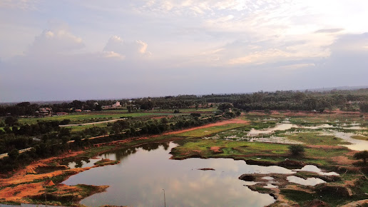 Google Maps image 29