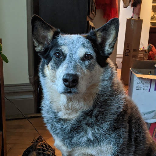 Car Dealer «Kunes Country Ford Stateline Superstore», reviews and photos, 104 IL-173, Antioch, IL 60002, USA