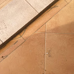 Photo n°3 de l'avis de Raffaella.i fait le 10/09/2023 à 07:02 sur le  Villaggio Marco Polo à Santa Domenica