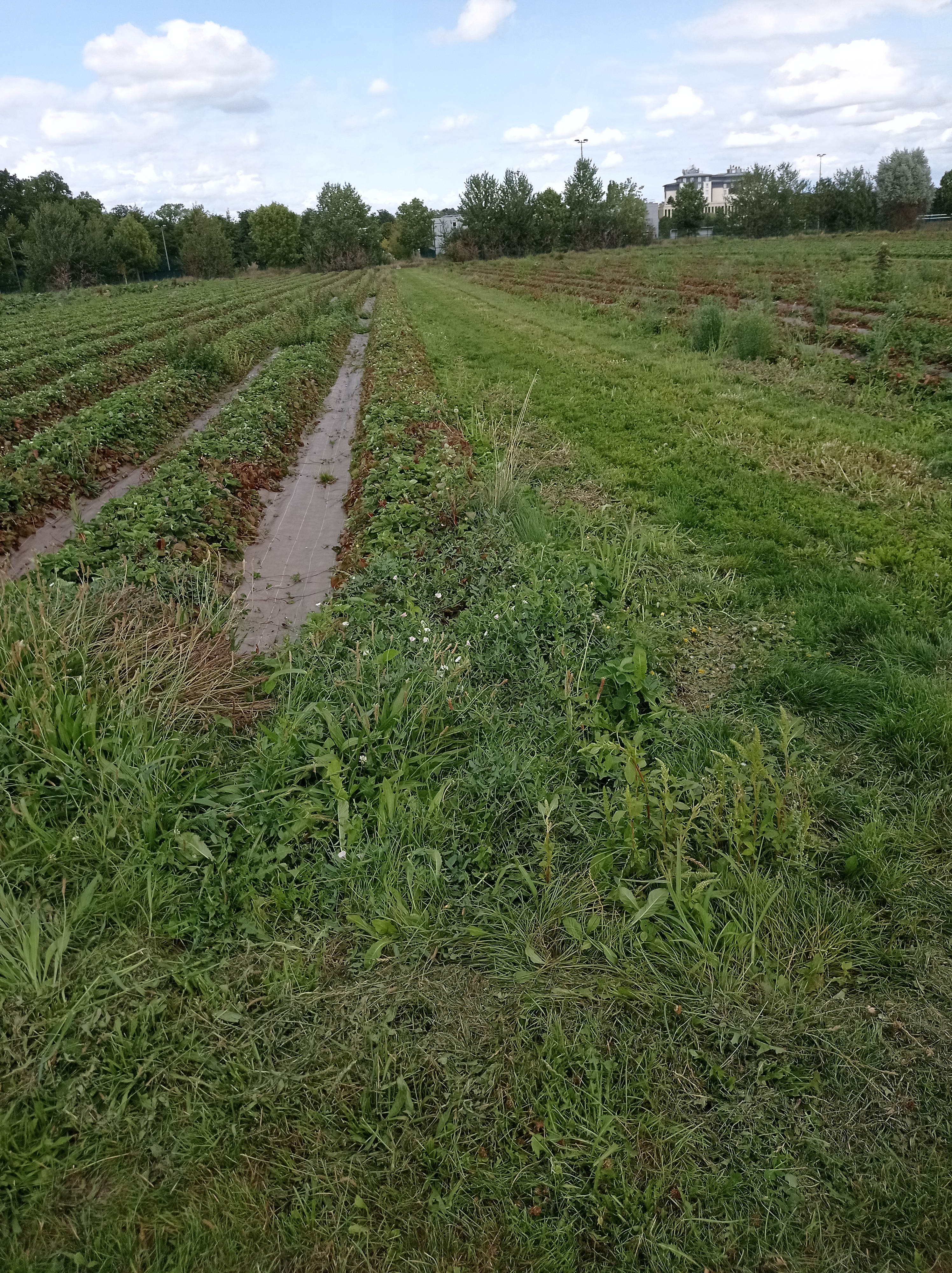 Photo n° 13 de l'avis de alexandre.u fait le 27/08/2023 à 13:21