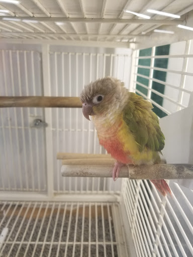 Pet Supply Store «Petco Animal Supplies», reviews and photos, 9137 Central Ave a, Montclair, CA 91763, USA