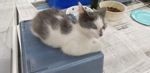 Pet Store «Teske Pet & Garden», reviews and photos, 2423 16th St, Moline, IL 61265, USA