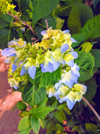 National Park «Chattahoochee River National Recreation Area, Island Ford Unit», reviews and photos, 1978 Island Ford Pkwy, Sandy Springs, GA 30350, USA