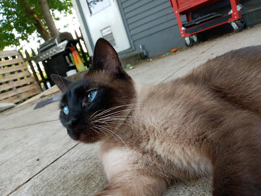 Pet Supply Store «Petco Animal Supplies», reviews and photos, 244 Pioneer Trail, Chaska, MN 55318, USA