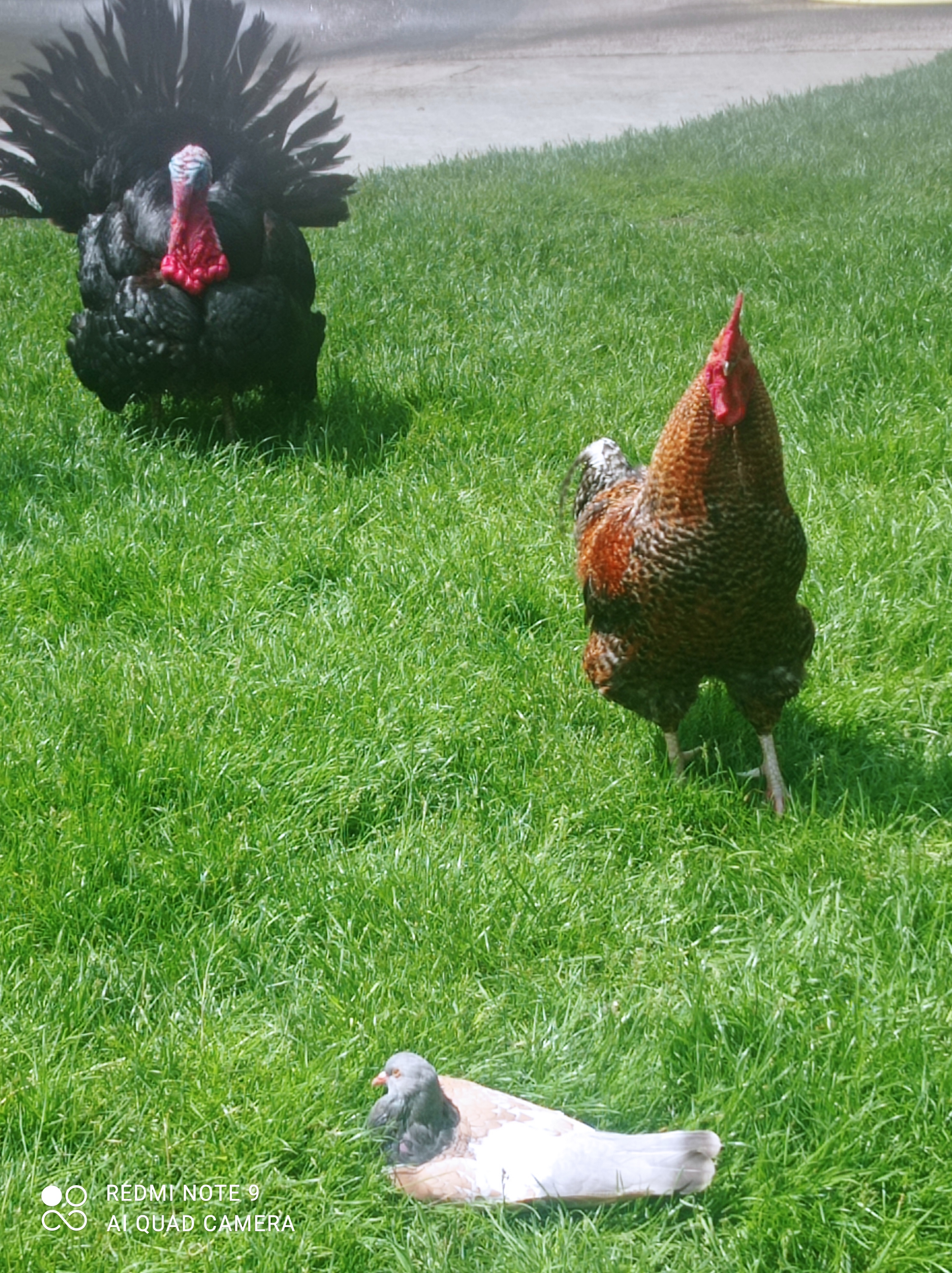 Photo n° 3 de l'avis de Virginie.e fait le 02/06/2023 à 12:53