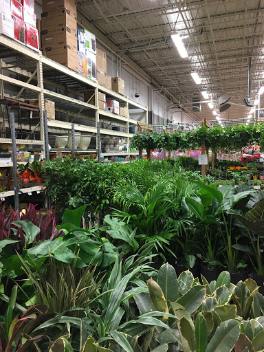 Home Improvement Store «The Home Depot», reviews and photos, 140 Countryside Plaza, Countryside, IL 60525, USA