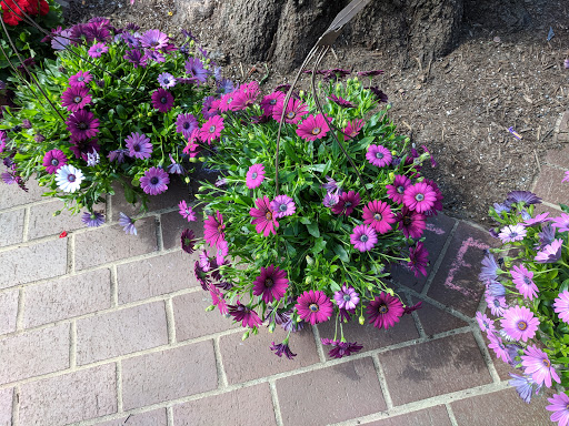 Hardware Store «Ayers Variety & Hardware», reviews and photos, 5853 Washington Blvd, Arlington, VA 22205, USA