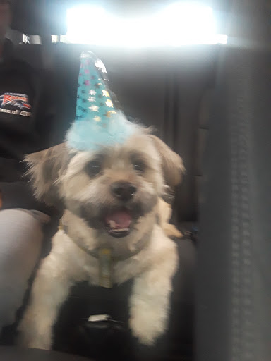 Pet Store «Pet Goods», reviews and photos, 1125 Central Park Ave, Scarsdale, NY 10583, USA